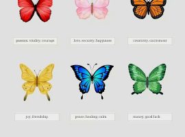 0b60e5c116dae3746ba445bffe832fe7