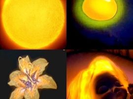 79b969818b349bb15d93596f709e8c121