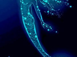 FB_IMG_1775968844788