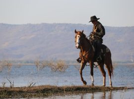 homme-cheval-dans-lac_1048944-5072714